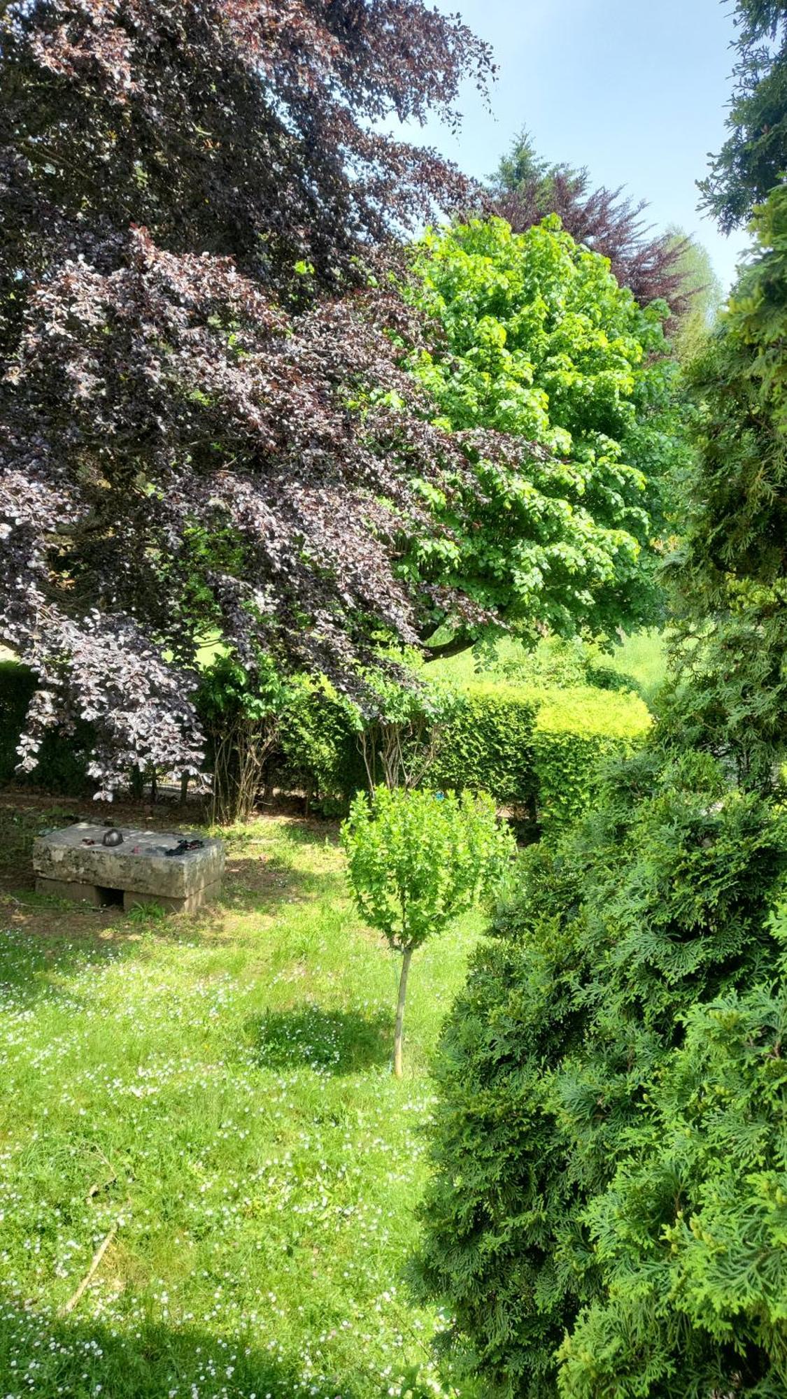 Goutanou Chambre 3 Chatillon-en-Michaille Exteriör bild